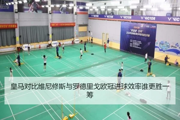 皇马对比维尼修斯与罗德里戈欧冠进球效率谁更胜一筹